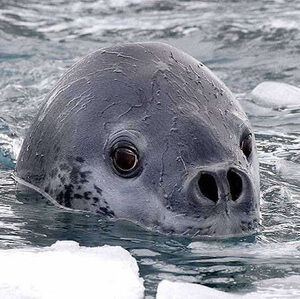 Meet your Posher, Niamh